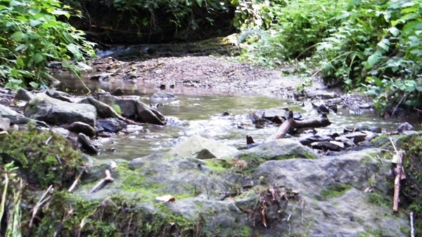 marche Adeps wandeling Waulsort Ardennen