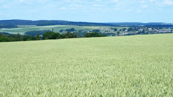 marche Adeps wandeling Waulsort Ardennen