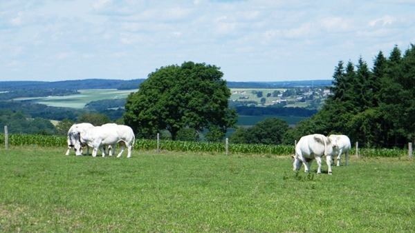 marche Adeps wandeling Waulsort Ardennen