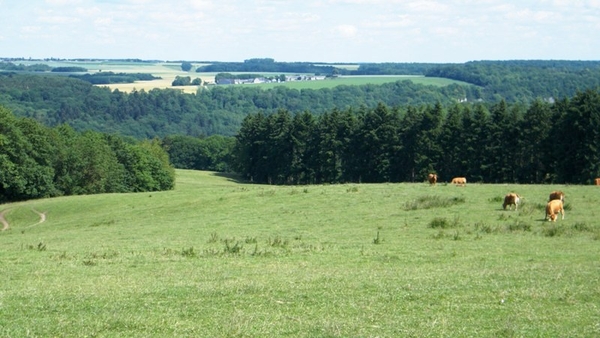 marche Adeps wandeling Waulsort Ardennen