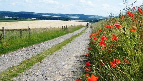 marche Adeps wandeling Waulsort Ardennen