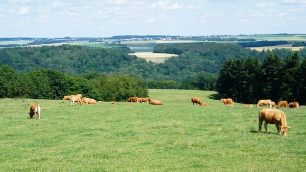 marche Adeps wandeling Waulsort Ardennen