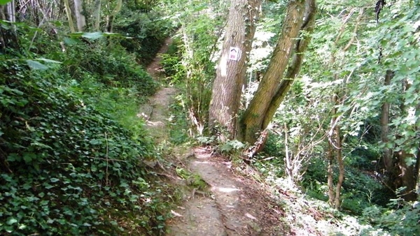 marche Adeps wandeling Waulsort Ardennen