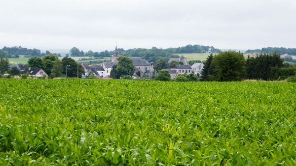 marche Adeps wandeling Philippeville Ardennen