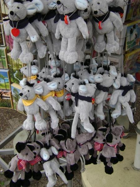 100815 D Soest en Wesergebied 178