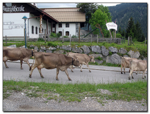 Oostenrijk Tirol Lechtal (42)