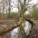 OMGEVING PIJPELHEIDE