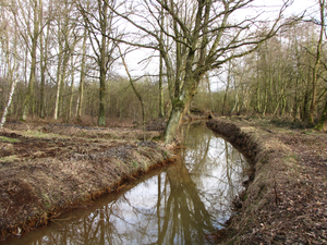 OMGEVING PIJPELHEIDE