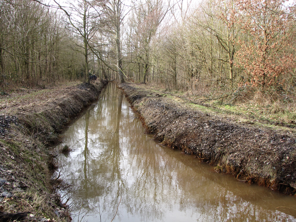 OMGEVING PIJPELHEIDE