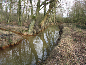 OMGEVING PIJPELHEIDE