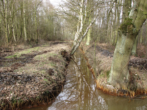 OMGEVING PIJPELHEIDE