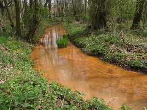 OMGEVING MEERHOUT