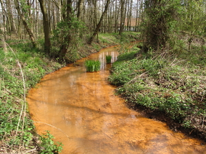 OMGEVING MEERHOUT