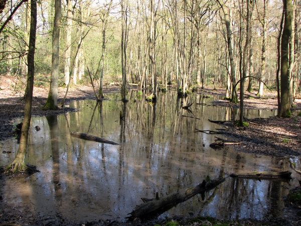 OMGEVING HALLE-ZOERSEL