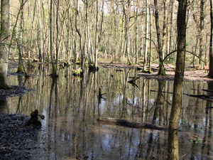 OMGEVING HALLE-ZOERSEL