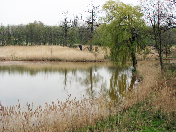 OMGEVING BERENDRECHT-ZANDVLIET