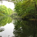 OMGEVING 's GRAVENWEZEL