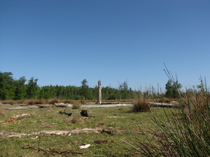 OMGEVING OSSENDRECHT - NL