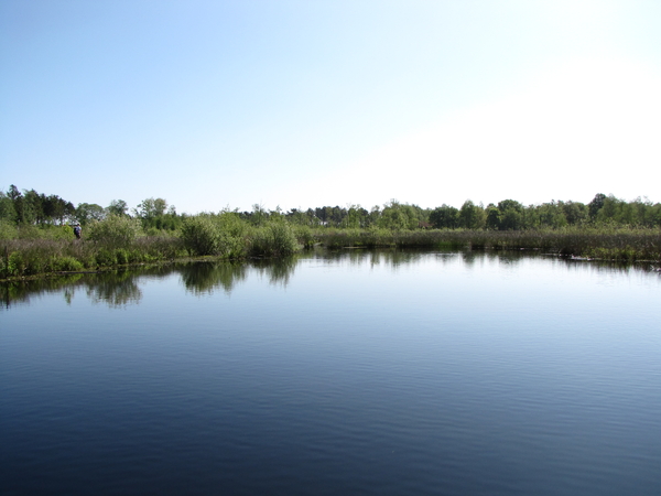 OMGEVING OSSENDRECHT - NL