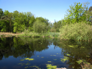 OMGEVING OSSENDRECHT - NL