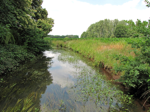 OMGEVING MEERHOUT