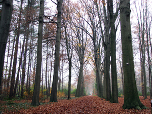 OMGEVING SCHILDE-OELEGEM