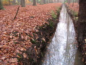 OMGEVING SCHILDE-OELEGEM