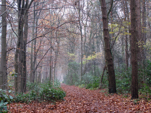 OMGEVING SCHILDE-OELEGEM