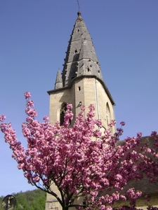 110410 tot 20 rondrit FrancheComte BOURGONDIE 021