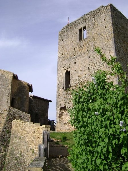 110410 tot 20 rondrit FrancheComte BOURGONDIE 125