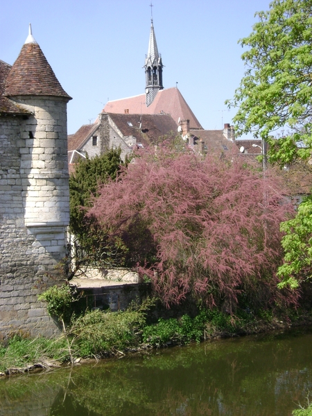 110410 tot 20 rondrit FrancheComte BOURGONDIE 325