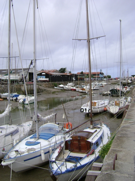 F Loire Atlantique en Vendee met Marijke juli 2007 053