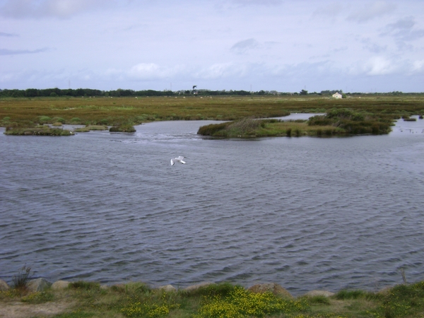 F Loire Atlantique en Vendee met Marijke juli 2007 055