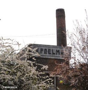 B _ MELLE POELMAN ZWAANTJESSTRAAT 2 20110402