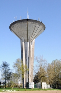 B _ SINT-LIEVENS-ESSE ZONNEVELD 20110409 (3)