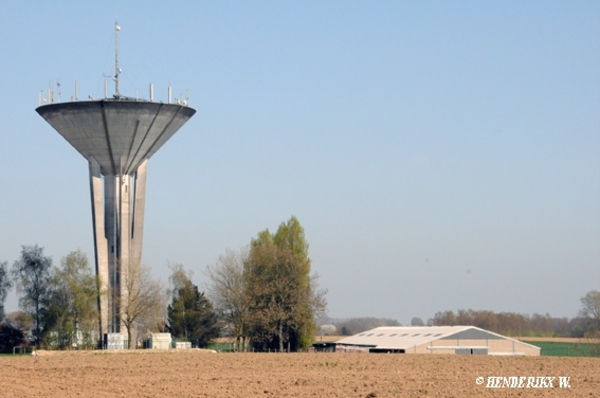 B _ SINT-LIEVENS-ESSE ZONNEVELD 20110409