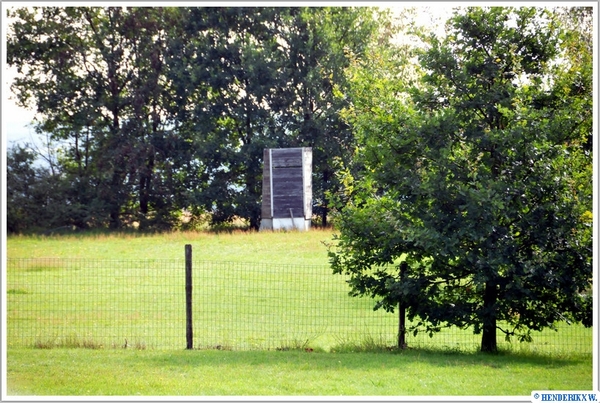 DIEST - LAZARIJSTRAAT 20110817