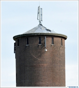 HANNUT - TROGNEE - RUE DES QUATRES VENTS 20110817_7