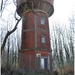 HERDEREN HOOGBOSVELD 20120320_1