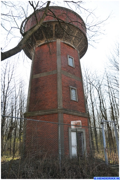 HERDEREN HOOGBOSVELD 20120320_3