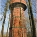 HERDEREN HOOGBOSVELD 20120320_9