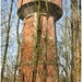 HERDEREN HOOGBOSVELD 20120320_9A