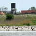 LOMBARDSIJDE MILITAIR DOMEIN 20130522_3