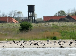 LOMBARDSIJDE MILITAIR DOMEIN 20130522_3