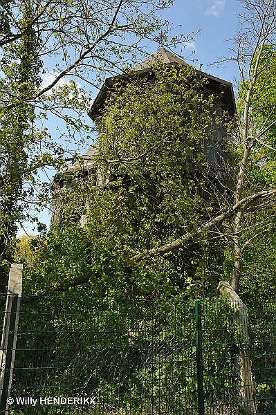 JODOIGNE BOIS DE CAILLOUX CHAUSSEE DE HANNUT  20140419 (3)