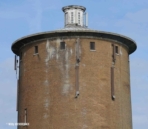 TOURINNES-SAINT-LAMBERT WALHAIN ROUTE D'ORBAIS 20140816_4