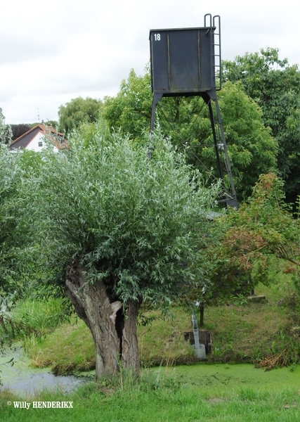 NL_OOSTVOORNE MOLENDIJK  20150815 (8)