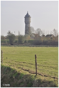 NL_SCHERPENISSE 20111112_1