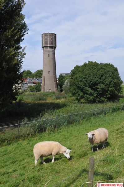 NL_'s GRAVENDEEL KILWEG 20120829