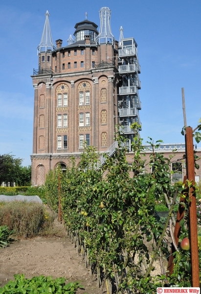 NL_DORDRECHT 'VILLA AUGUSTUS' WANTIJ ORANJELAAN 7 20120829 (31)